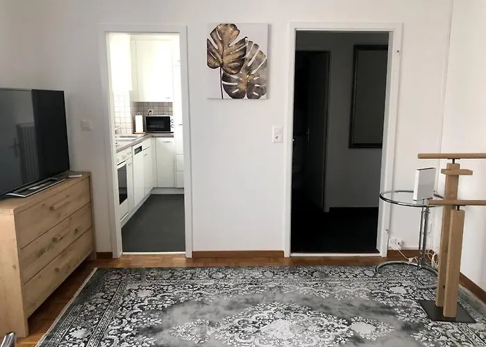 Apartment Bright And Quiet In The Center - Sky1 Zurich