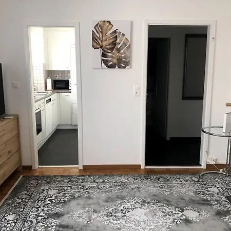 Apartamento Bright And Quiet In The Center - Sky1 Zurique